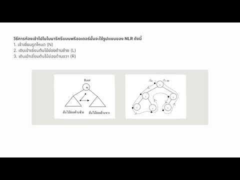 การสร้างโครงสร้างแบบ Tree ด้วยภาษา Python (Binary Tree)