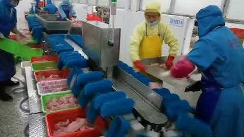 [TOUPACK] Circular multi weight sorting machine chicken