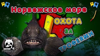 ◦ Охота за трофеями! ◦ level ◦ Русская рыбалка 4 ◦🎣👍🐬