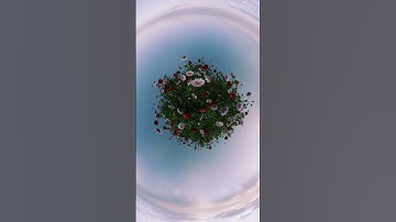 Blender 3D Test Animation / Fisheye