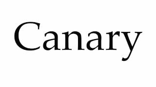 Top 3 how to pronounce canary