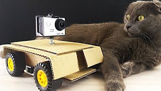 RC ROBOT OUT OF CARDBOARD FOR THE GAME WITH THE CAT