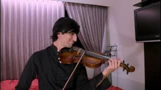 Shinunoga E-Wa- Fujii Kaze Violin Cover DiorViolin