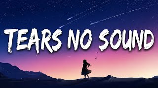 Tears No Sound - (Lyrics) | New English Emotional Love Song 2026 