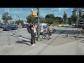 Geese crossing the intersection on the green light in Vancouver