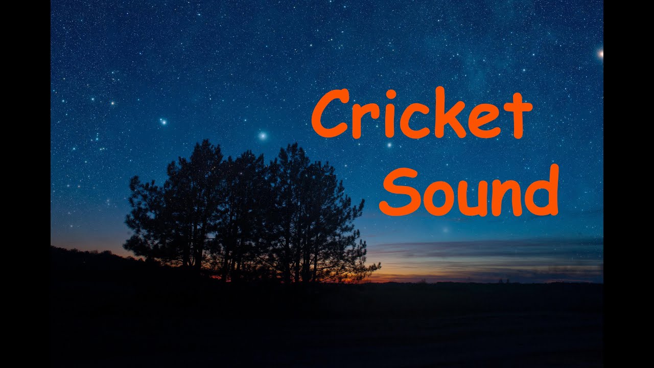 ancient cricket sounds ancient cricket sounds