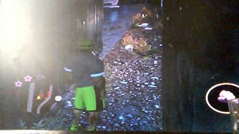 Saints Row The Third Rampage Part 1