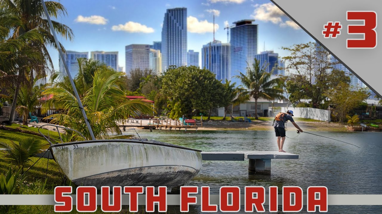 Fly Fishing Urban MIAMI Ponds on Foot - The Renegade Rendezvous Pt.3