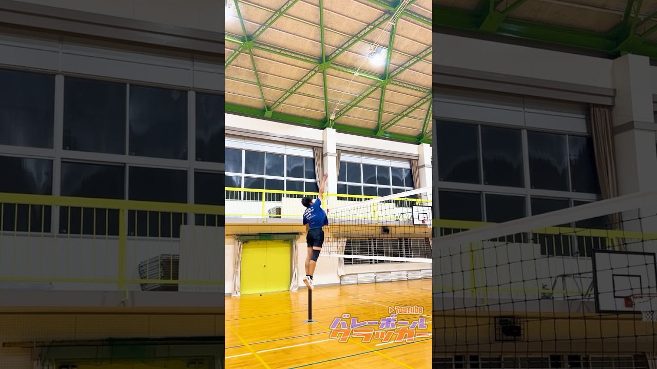 【メータージャンパー】最高到達点は？？？#バレーボール #haikyuuxyn #ジャンプ力 #volleyball