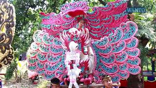 Ngaplangngaplang Innes Putri Muda Bp Tomanibu Yati  Siturajagantarindramayu Kamis 9426