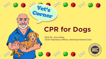 CPR for Dogs | Vet