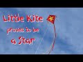 Little kite proves to be a star