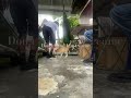 #cat I pet la cat