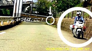 PCX・この位置は初めて見た！〔the rear view〕