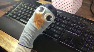 Sock - Episode 1 - Learning From Home Sock Episode 7 Chief Health Officer