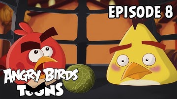 Angry Birds Toons | Miracle of Life - S2 Ep8