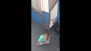 Colemans Mount Hersey 2 8 Person Tent