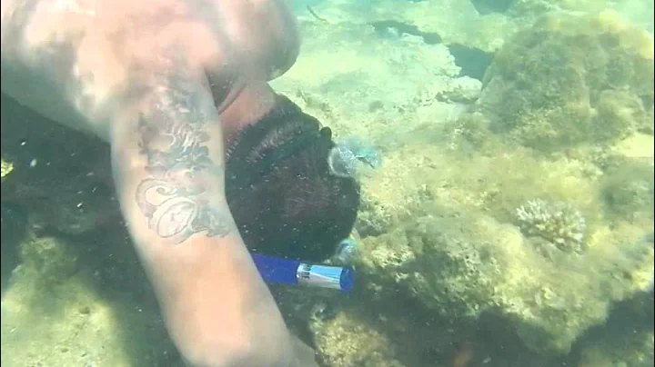 Guam- Catching Octopus in the Waters of Agat