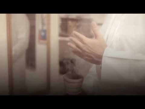 مواليد الشهر حسين فيصل فيديو قصير ولادة الامام المهدي