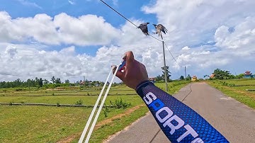 Ná cao su - kiếm mồi lai rai cuối tuần cùng ná thủ nhí || Rubber slingshot to shoot flying birds