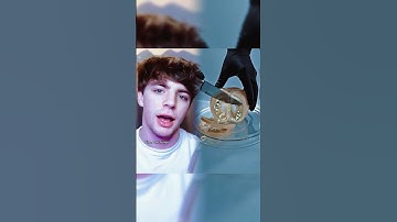 #pov you live in a world were money doesn’t work exist so you have to trade to make a living…