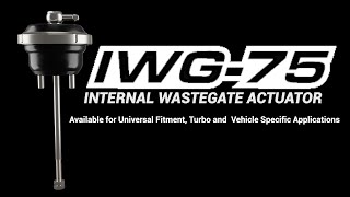 IWG75 Wastegate Actuator Series