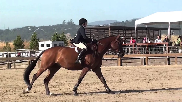 EMO Finals- Audrey Poole & RiverCross Nobility