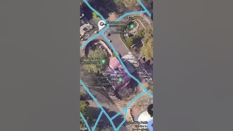 Capybara House - Google Maps