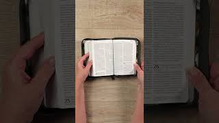 Nlt Compact Giant Print Zipper Bible Filamentenabled Edition  Leatherlike Magnolia Sage
