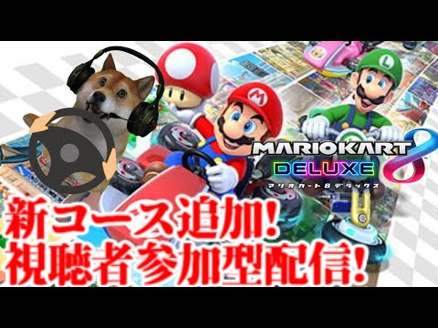 朝マリオカート8dx 全世界の人間vs柴犬レース Mario Kart 8dx Dog Youtube