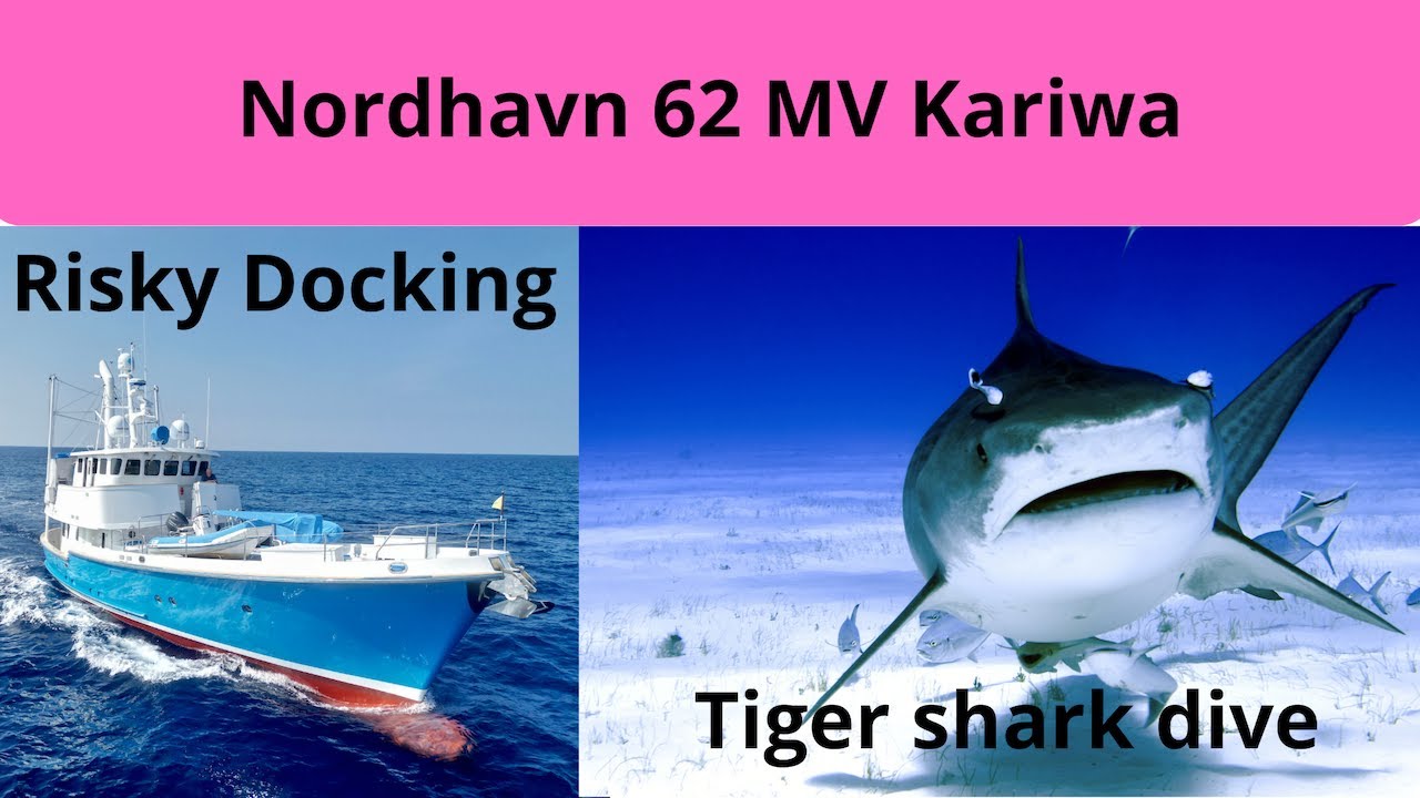 Sailing to the Bahamas on a Nordhavn 62, diving with Tiger shark and a risky docking!   HD 1080p
