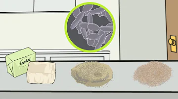 ¿Qué pasa si hay exceso de levadura en el pan?