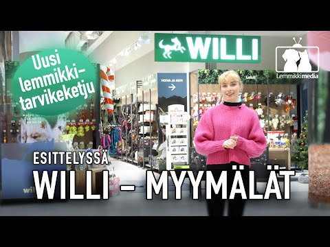 Video: Mitä ovat satulavarusteet ja valjaat?