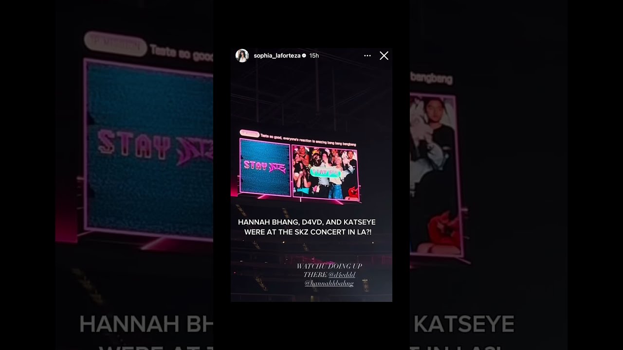 wdym all my favs went to the concert?😔#fypage #katseye #d4vd #hannahbahng #straykids #fyp #concert