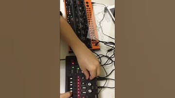 Behringer crave #14 (with monotribe)