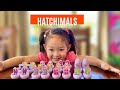 HATCHIMALS CollEGGtibles