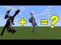 I Combined the Ender Dragon and a Phantom in Minecraft - Here's What Happened...