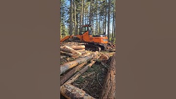 doosan log loader