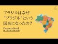 ブラジルはなぜ“ブラジル”という国名になったの？