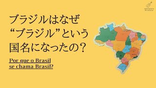 ブラジルはなぜ“ブラジル”という国名になったの？