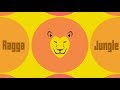Ragga & Dub & Jungle & Drum & Bass Mix (N495)