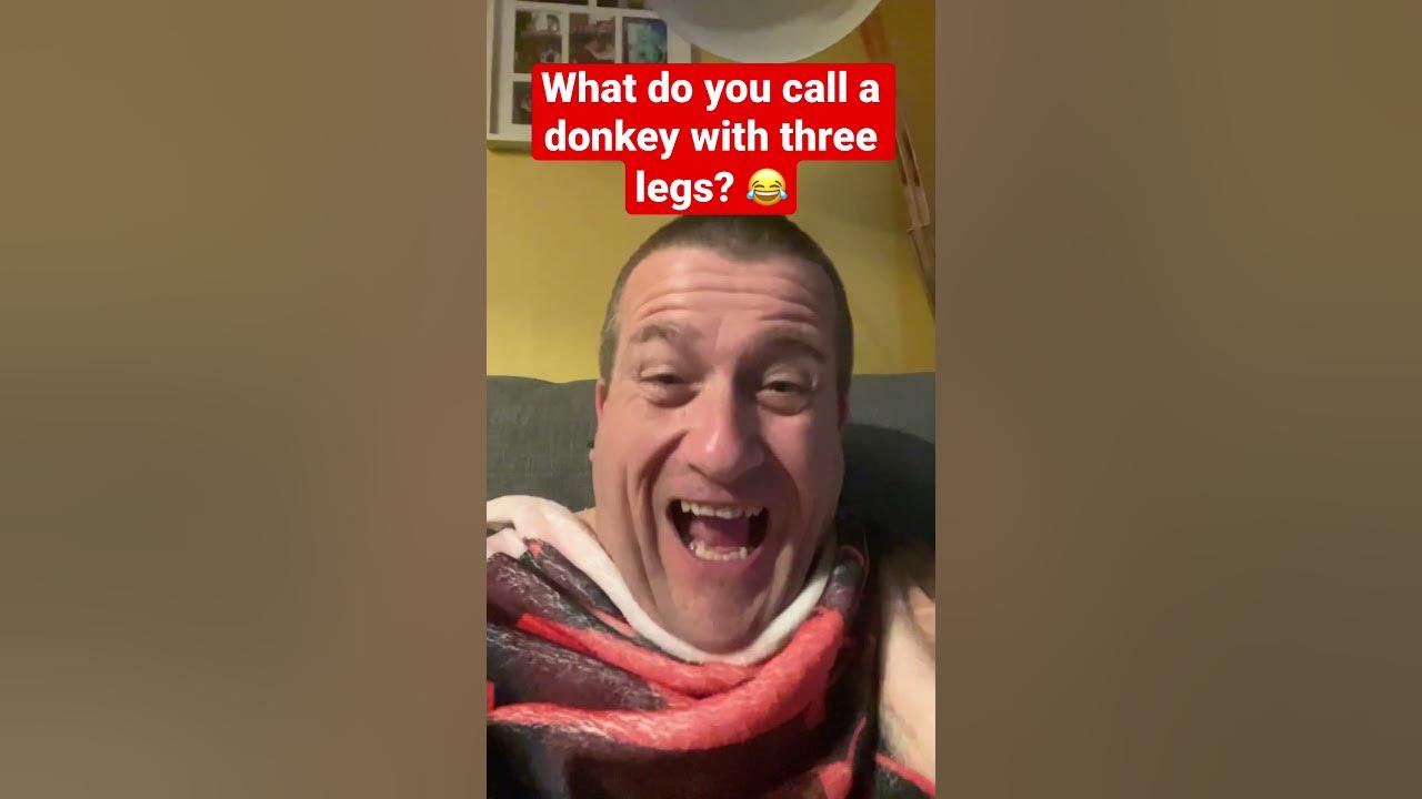 dad-joke-classic-what-do-you-call-a-donkey-with-three-legs-viral
