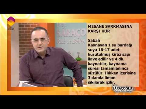 Mesane Sarkmasına Karşı Kür - DİYANET TV