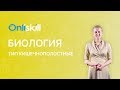 Биология 7 класс :  Тип Кишечнополостные