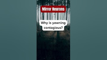 "Mirror Neurons: Why You Feel Others’ Emotions!" #narcissist #psycholgyfacts #brainfacts