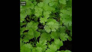 धनिये को 8-10 दिन तक फ्रेश रखने का सही तरीका | How to store coriander leaves for long time