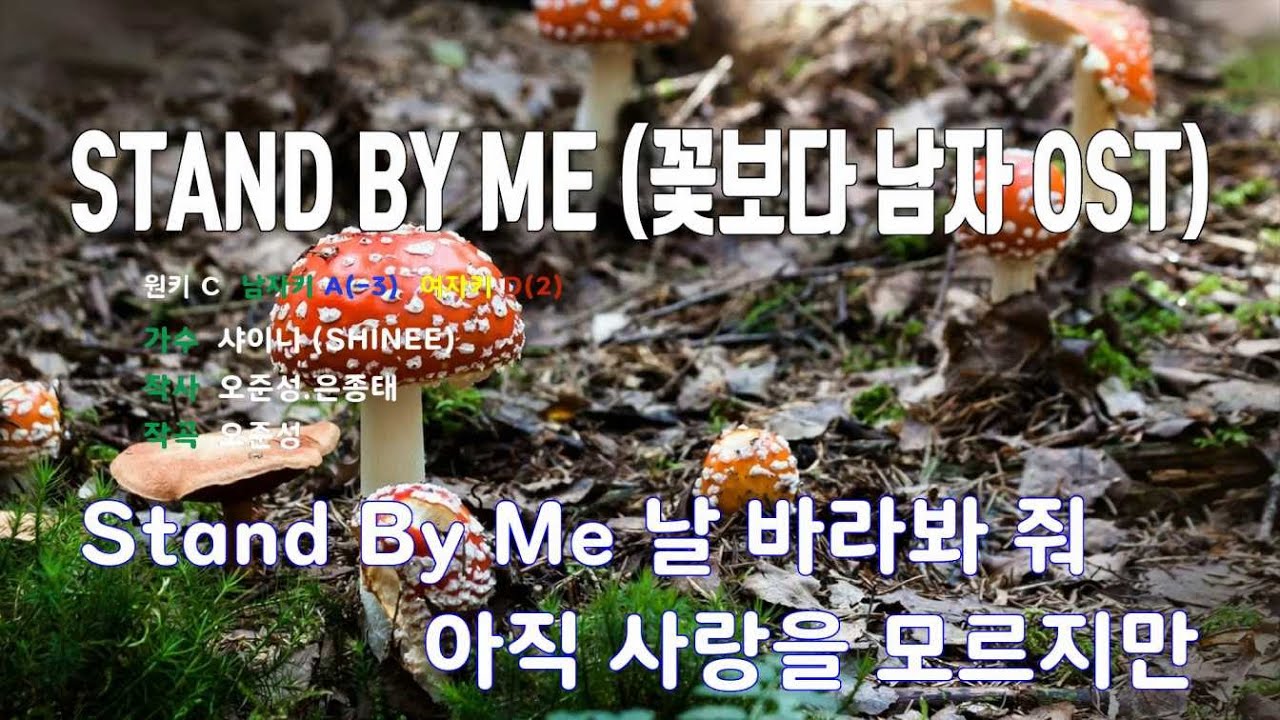 [은성 반주기] STAND BY ME (꽃보다남자OST) - 샤이니(SHINEE)