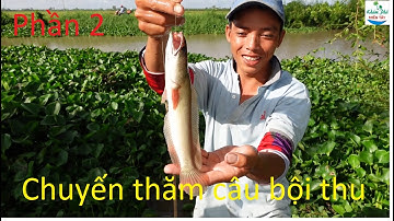 848 | Ký ức miền tây cắm câu ca lóc mùa nước nổi P2 | Fishing