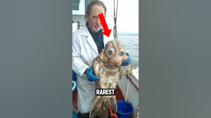 "Top 5 RAREST ANIMAL YOU DIDN'T KNOW EXIST 😟😱 thumbnail
