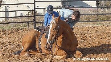 Doc Holl E Wood - little cowboy mount, lay down, ride, hat trick! - ValleyViewRanch.net